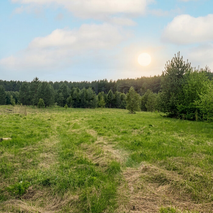 д. Ключи (г.о. Белоярский), ул. Уральская, 10Б (городской округ Белоярский) - фото земельного участка (1)