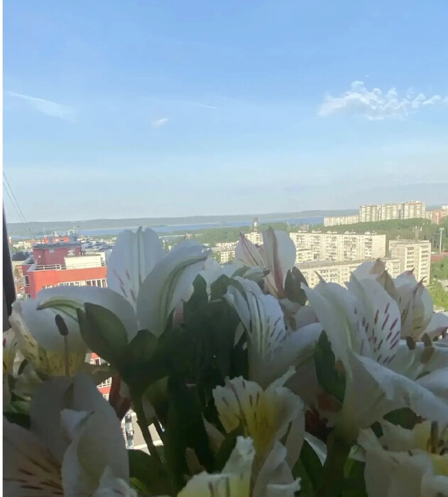 Екатеринбург, ул. Таватуйская, 25 к 4 (Старая Сортировка) - фото квартиры (14)