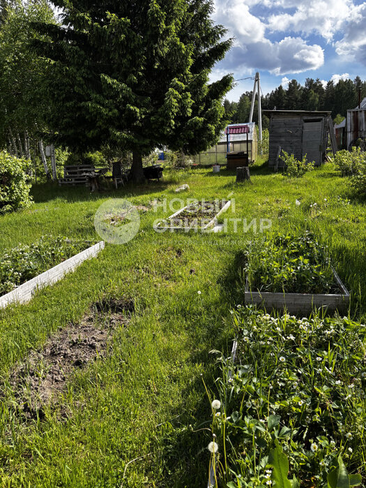 г. Первоуральск, СНТ Вершина-2, ул. 56.889793, 60.104443 (городской округ Первоуральск) - фото сада (10)