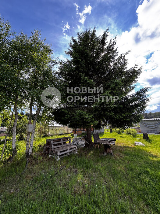 г. Первоуральск, СНТ Вершина-2, ул. 56.889793, 60.104443 (городской округ Первоуральск) - фото сада (4)
