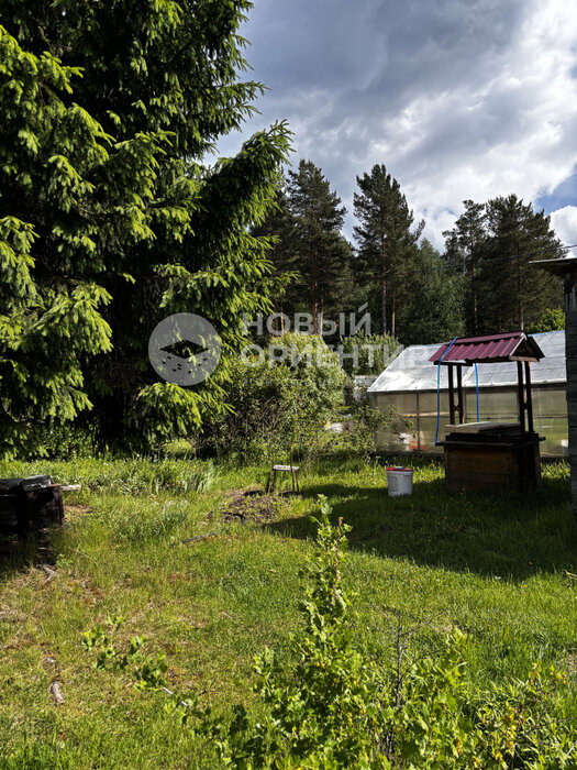 г. Первоуральск, СНТ Вершина-2, ул. 56.889793, 60.104443 (городской округ Первоуральск) - фото сада (5)