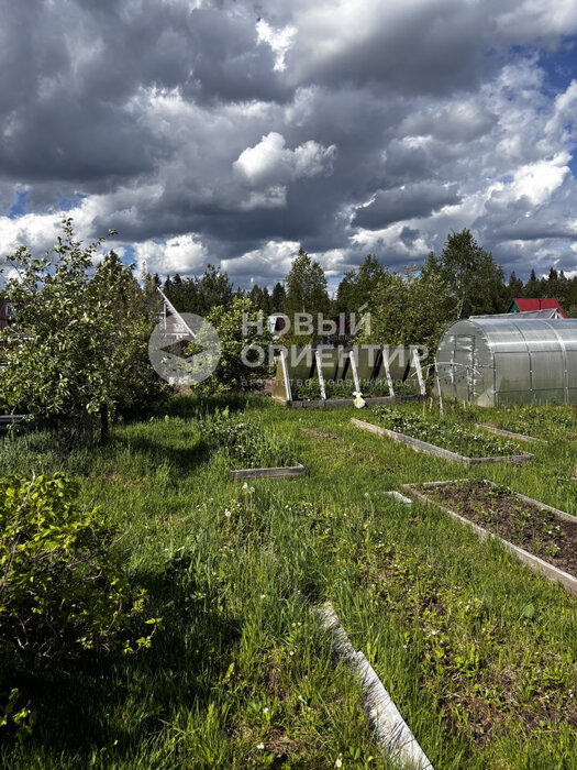 г. Первоуральск, СНТ Вершина-2, ул. 56.889793, 60.104443 (городской округ Первоуральск) - фото сада (7)