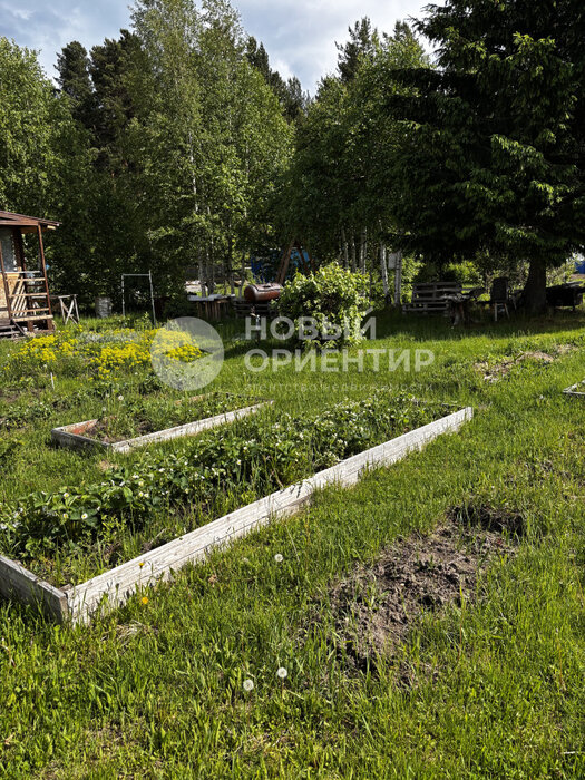г. Первоуральск, СНТ Вершина-2, ул. 56.889793, 60.104443 (городской округ Первоуральск) - фото сада (9)
