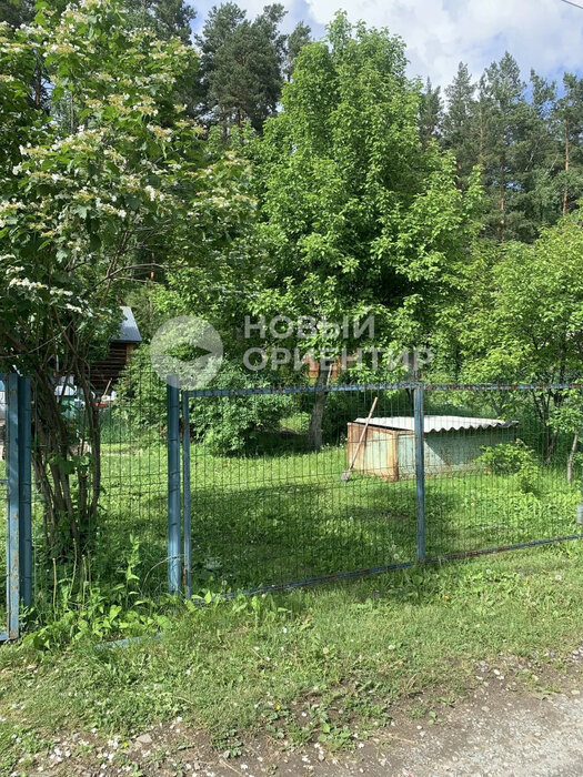 Екатеринбург, СНТ Росинка, ул. 56.709080, 60.602200, 152 (Елизавет) - фото сада (15)