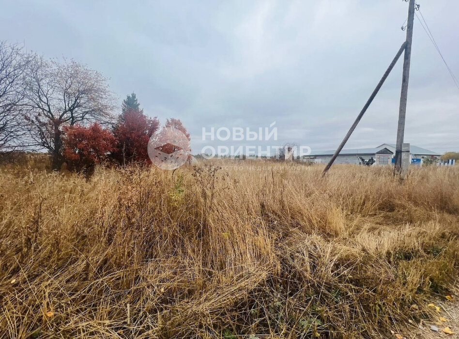 д. Бубнова, ул. 8 Марта, 12 (городской округ Каменский) - фото земельного участка (5)