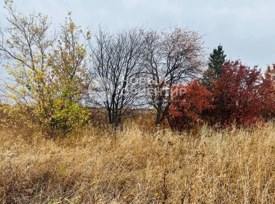 д. Бубнова, ул. 8 Марта, 12 (городской округ Каменский) - фото земельного участка (7)