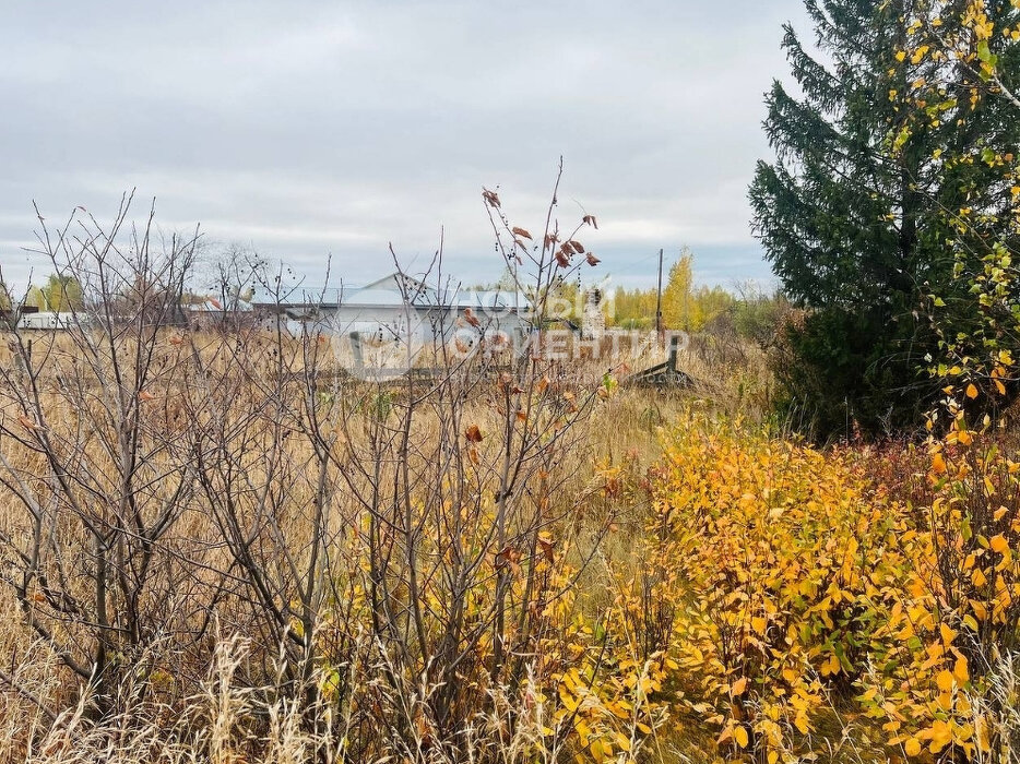 д. Бубнова, ул. 8 Марта, 12 (городской округ Каменский) - фото земельного участка (9)