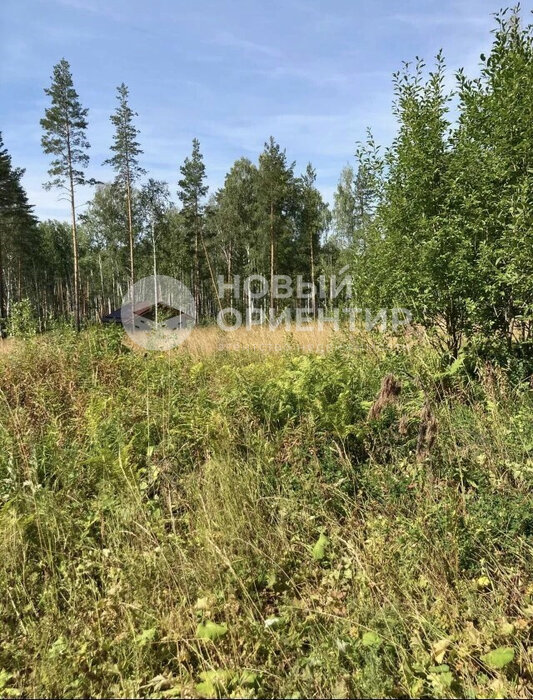 с. Кунгурка, ул. Участок рядом с лесом (городской округ Ревда) - фото земельного участка (1)
