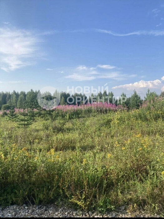 с. Кунгурка, ул. Участок рядом с лесом (городской округ Ревда) - фото земельного участка (3)