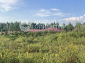 Продажа земельного участка: с. Кунгурка, ул. Участок рядом с лесом (городской округ Ревда) - Фото 3