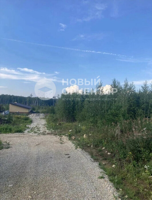 с. Кунгурка, ул. Участок рядом с лесом (городской округ Ревда) - фото земельного участка (4)