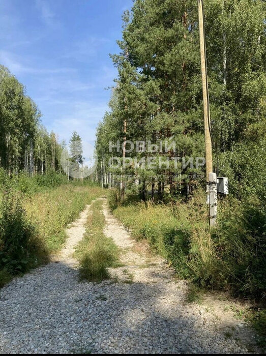 с. Кунгурка, ул. Участок рядом с лесом (городской округ Ревда) - фото земельного участка (5)