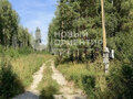Продажа земельного участка: с. Кунгурка, ул. Участок рядом с лесом (городской округ Ревда) - Фото 5