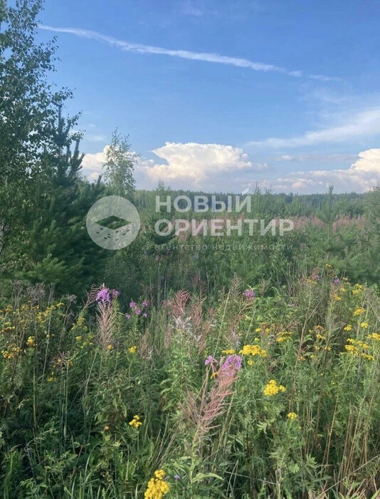 с. Кунгурка, ул. Участок рядом с лесом (городской округ Ревда) - фото земельного участка (6)