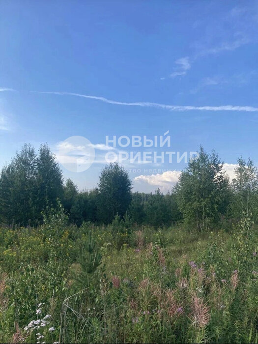 с. Кунгурка, ул. Участок рядом с лесом (городской округ Ревда) - фото земельного участка (8)