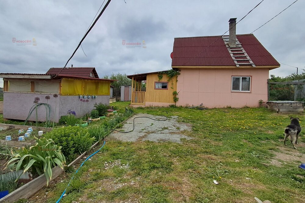 д. Гусева, СНТ № 7 Гусевка, ул. № 5, 11 (городской округ Белоярский) - фото сада (14)