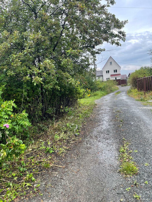 Екатеринбург, СНТ Родничок, уч. 5 (М.Исток) - фото сада (3)