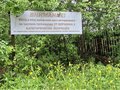 Продажа садового участка: г. Первоуральск, СНТ