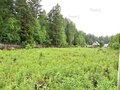 Продажа садового участка: г. Первоуральск, СНТ