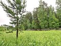 Продажа садового участка: г. Первоуральск, СНТ