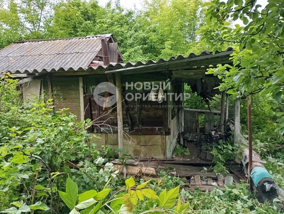 Екатеринбург, снт. Заветы Мичурина , уч. 40 - фото сада (3)