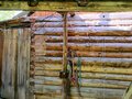 Продажа садового участка: п. Растущий, СНТ Ягодка-Малинка (городской округ Белоярский) - Фото 5
