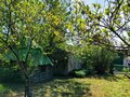 Продажа садового участка: п. Растущий, СНТ Ягодка-Малинка (городской округ Белоярский) - Фото 6