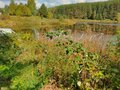 Продажа садового участка: п. Растущий, СНТ Ягодка-Малинка (городской округ Белоярский) - Фото 7