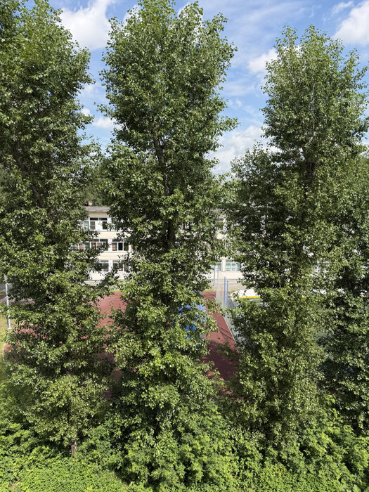Екатеринбург, ул. Индустрии, 94Б (Уралмаш) - фото квартиры (7)