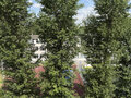 Продажа квартиры: Екатеринбург, ул. Индустрии, 94Б (Уралмаш) - Фото 7