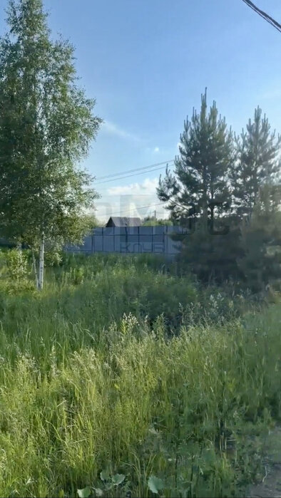 п. Хризолитовый, ул. Ягодная, 2 (городской округ Белоярский) - фото земельного участка (3)