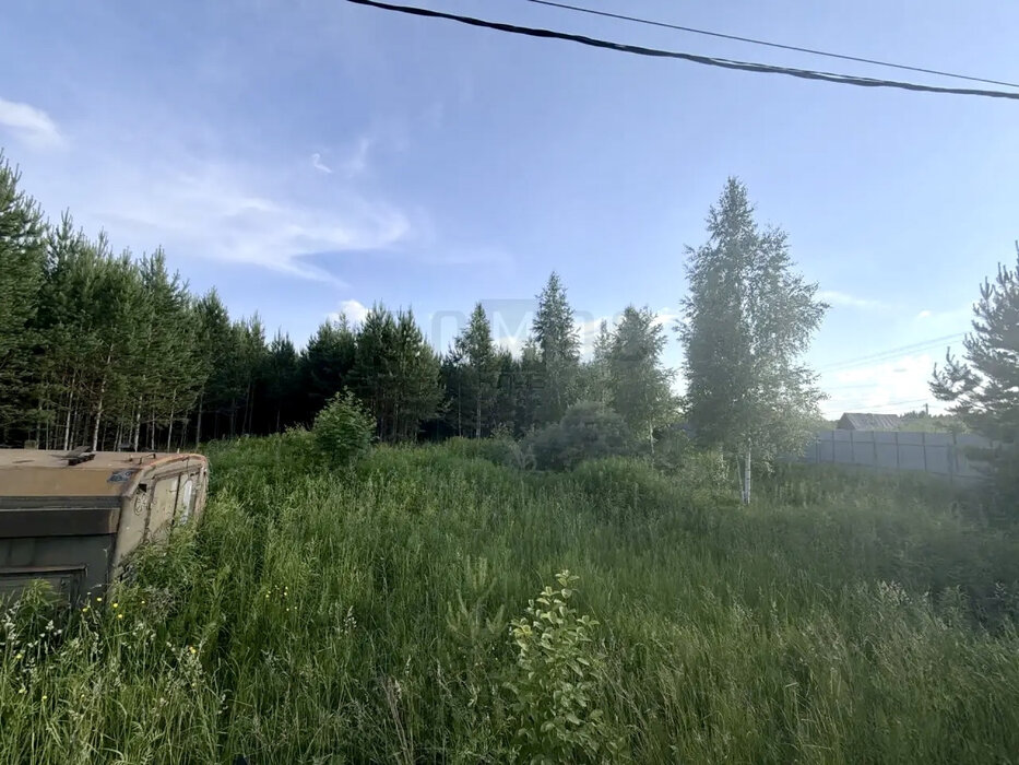 п. Хризолитовый, ул. Ягодная, 2 (городской округ Белоярский) - фото земельного участка (5)