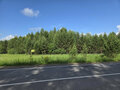 Продажа земельного участка коммерческого назначения: п. Бажуково, ул. природный парк Оленьи Ручьи (Нижнесергинский район) - Фото 12