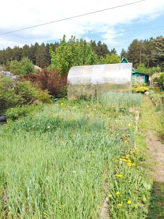 Екатеринбург, СНТ 