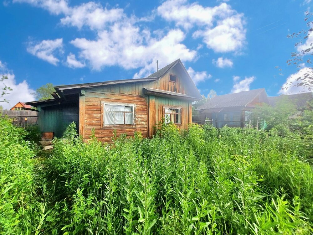 г. Камышлов, к/с Черемушки, уч. 29 (городской округ Камышловский) - фото сада (4)