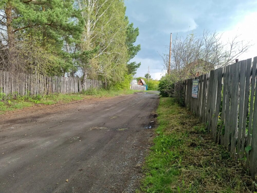 г. Камышлов, к/с Черемушки, уч. 29 (городской округ Камышловский) - фото сада (9)