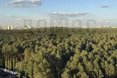 Екатеринбург, ул. Михеева, 2 (УНЦ) - фото квартиры