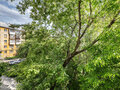Продажа квартиры: Екатеринбург, ул. Машиностроителей, 43 (Уралмаш) - Фото 16