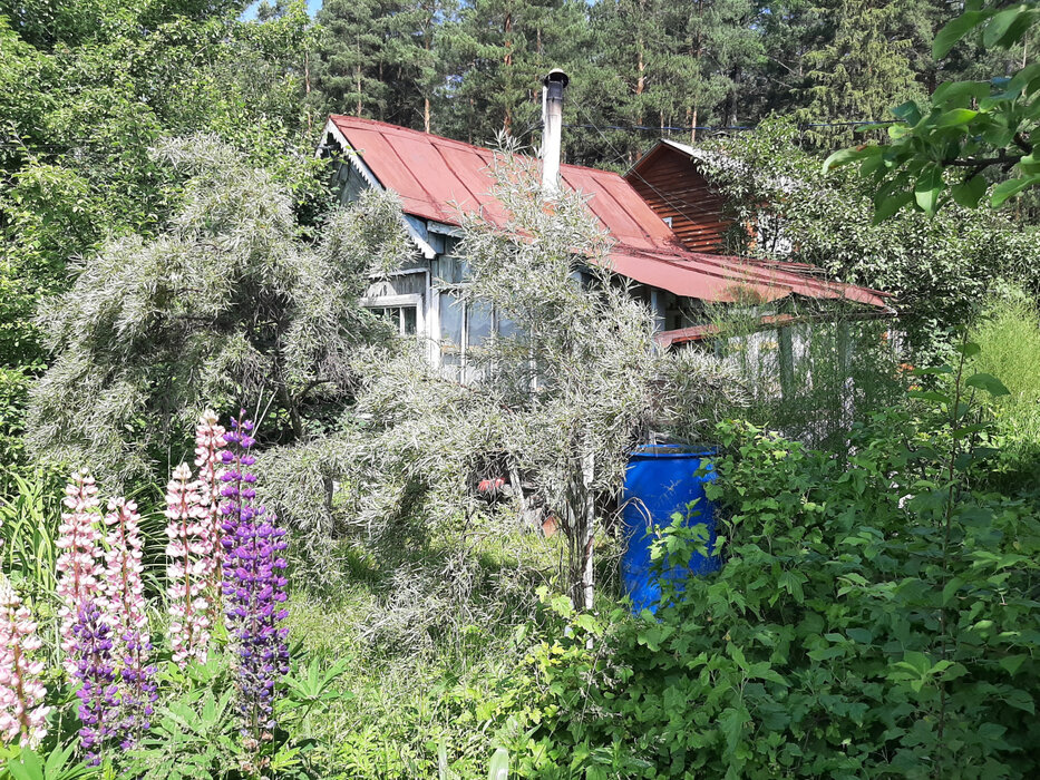 Екатеринбург, КС Кедр-93 - фото сада (1)