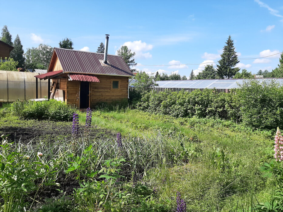 Екатеринбург, КС Кедр-93 - фото сада (10)