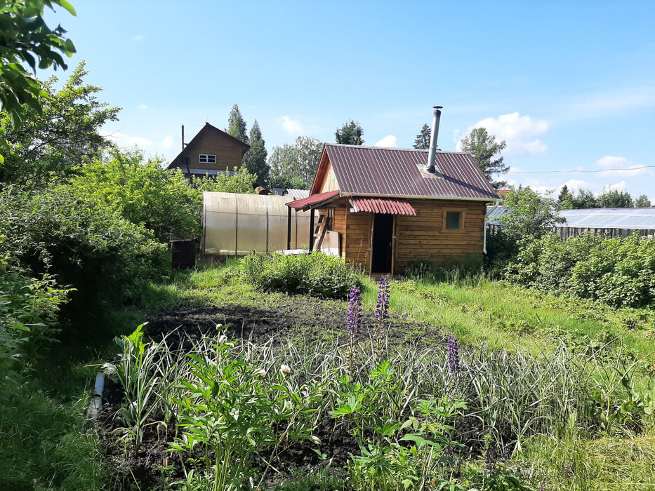 Екатеринбург, КС Кедр-93 - фото сада (11)