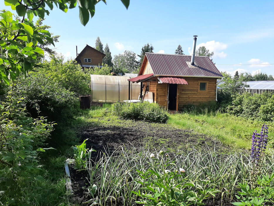 Екатеринбург, КС Кедр-93 - фото сада (12)