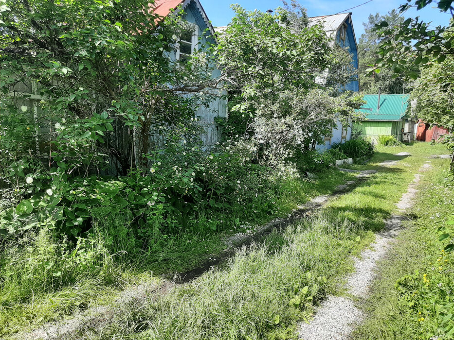 Екатеринбург, КС Кедр-93 - фото сада (3)
