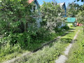 Продажа садового участка: Екатеринбург, КС Кедр-93 - Фото 3