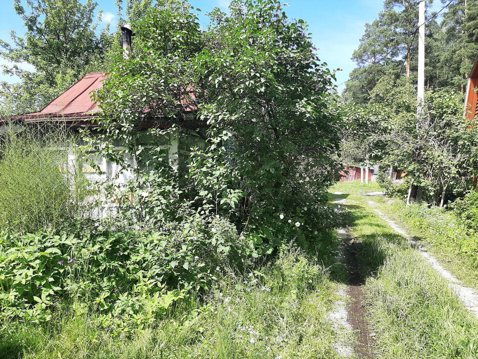 Екатеринбург, КС Кедр-93 - фото сада (4)