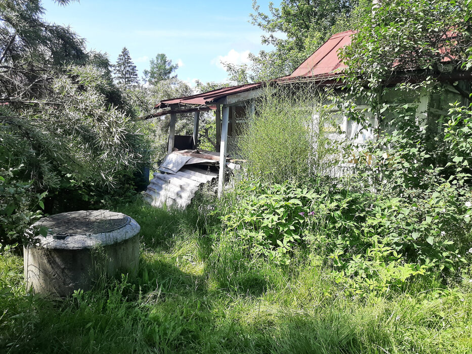 Екатеринбург, КС Кедр-93 - фото сада (5)