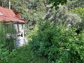 Продажа садового участка: Екатеринбург, КС Кедр-93 - Фото 6
