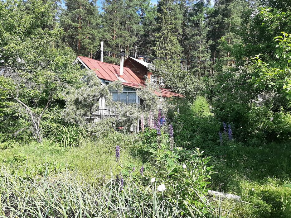Екатеринбург, КС Кедр-93 - фото сада (9)
