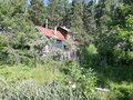 Продажа садового участка: Екатеринбург, КС Кедр-93 - Фото 9