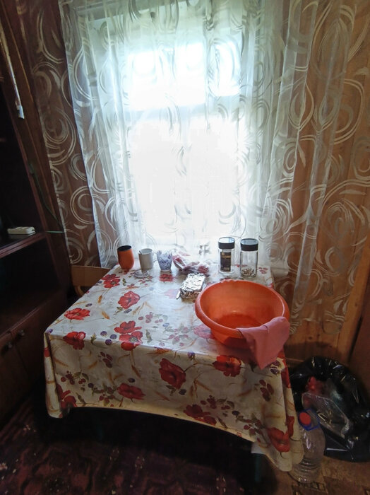 г. Первоуральск, СНТ № 77, уч.   (городской округ Первоуральск) - фото сада (15)